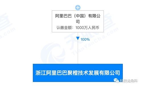 阿里巴巴成立聚橙技術(shù)，千萬元加碼信息系統(tǒng)集成服務(wù)