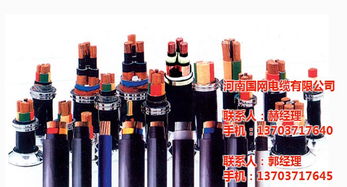 國(guó)網(wǎng)標(biāo)準(zhǔn)下的4芯電力電纜 電力傳輸?shù)膱?jiān)實(shí)骨架